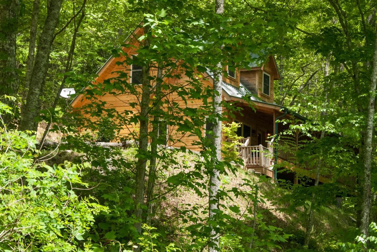 Cherokee Mountain Cabins, Llc Topton Bagian luar foto