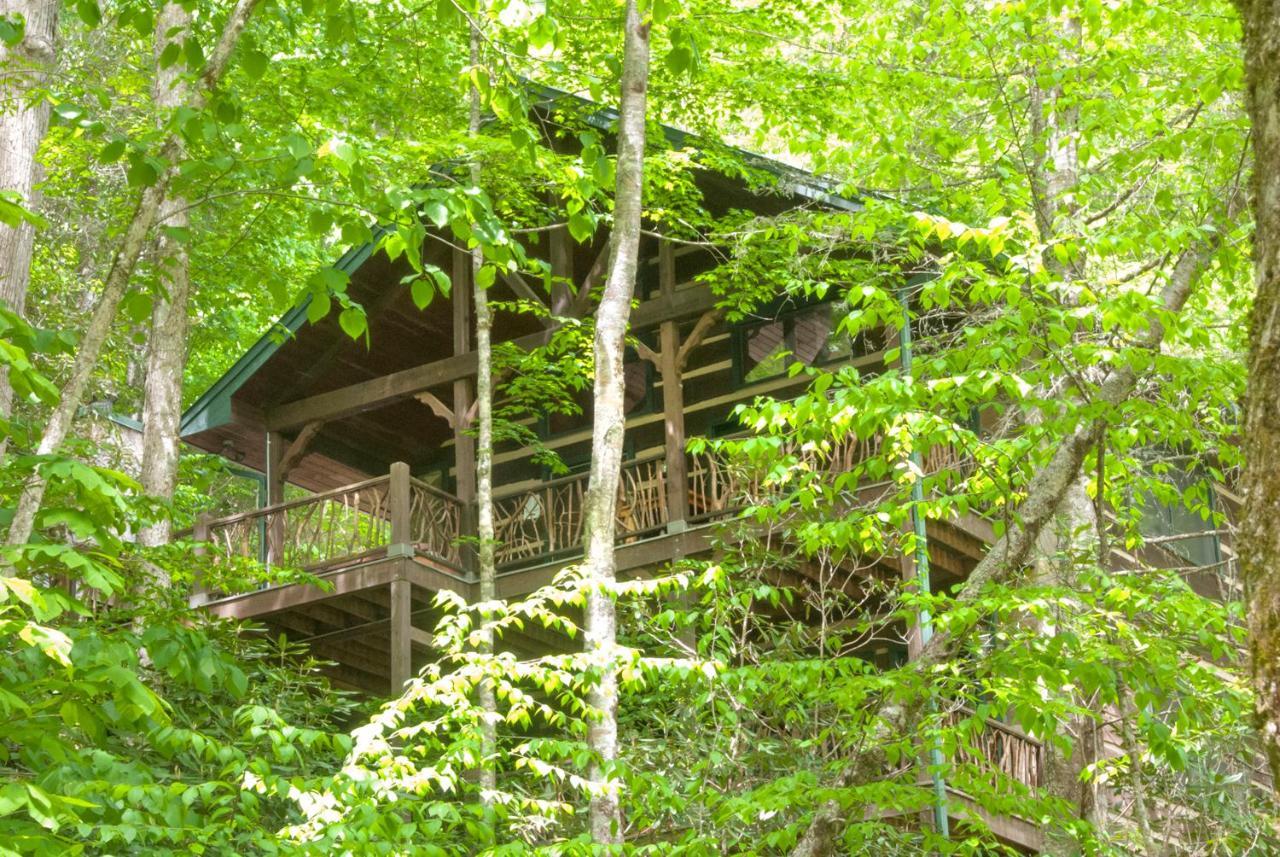 Cherokee Mountain Cabins, Llc Topton Bagian luar foto